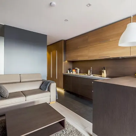 Lupoapartments Z Jacuzzi Pole Dance Leczycka 29 Klimatyzacja Parking Dostep Na Kod Apartment