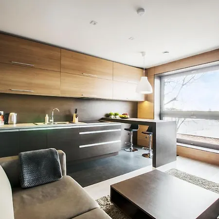 Lupoapartments Z Jacuzzi Pole Dance Leczycka 29 Klimatyzacja Parking Dostep Na Kod Lodz