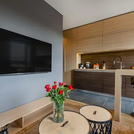 Apartment Lupoapartments Z Jacuzzi Pole Dance Leczycka 29 Klimatyzacja Parking Dostep Na Kod *