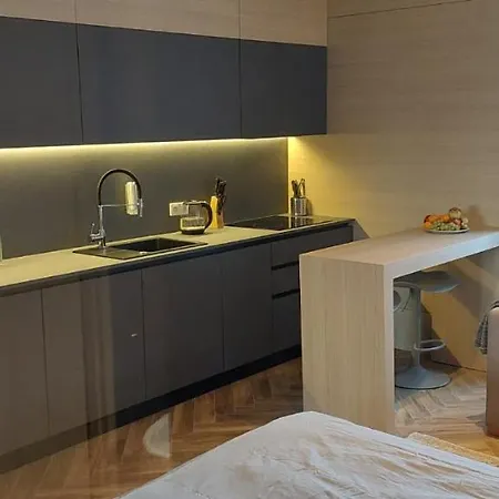 Apartment Lupoapartments Z Jacuzzi Pole Dance Leczycka 29 Klimatyzacja Parking Dostep Na Kod