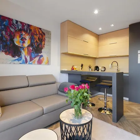 Apartment Lupoapartments Z Jacuzzi Pole Dance Leczycka 29 Klimatyzacja Parking Dostep Na Kod Lodz