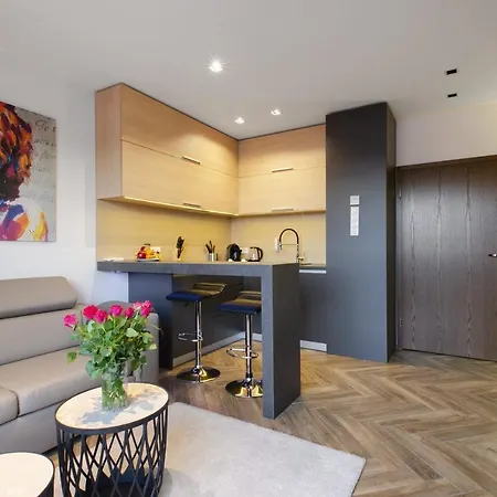 Lupoapartments Z Jacuzzi Pole Dance Leczycka 29 Klimatyzacja Parking Dostep Na Kod Apartment *