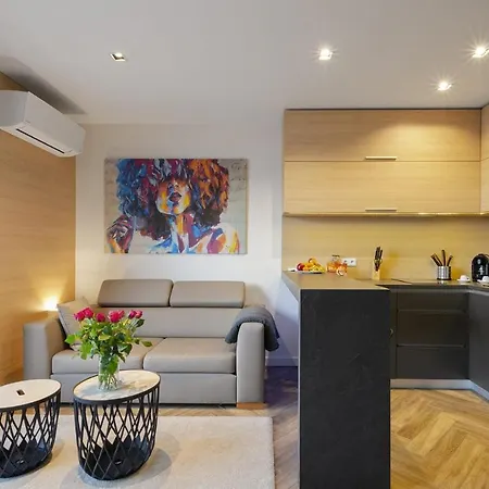 Lupoapartments Z Jacuzzi Pole Dance Leczycka 29 Klimatyzacja Parking Dostep Na Kod *