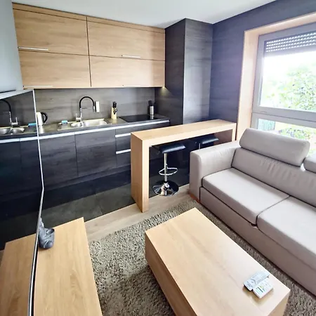 Lupoapartments Z Jacuzzi Pole Dance Leczycka 29 Klimatyzacja Parking Dostep Na Kod Apartment Lodz