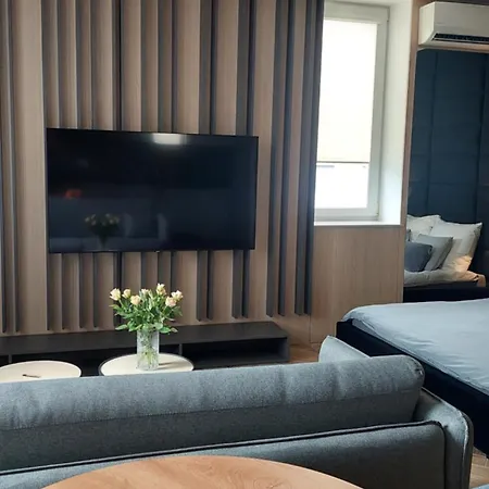 Lupoapartments Z Jacuzzi Pole Dance Leczycka 29 Klimatyzacja Parking Dostep Na Kod Apartment *