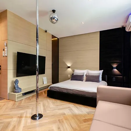 Lupoapartments Z Jacuzzi Pole Dance Leczycka 29 Klimatyzacja Parking Dostep Na Kod Apartment