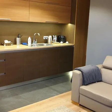 Apartment Lupoapartments Z Jacuzzi Pole Dance Leczycka 29 Klimatyzacja Parking Dostep Na Kod *