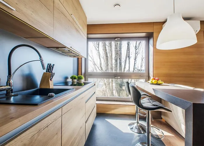 Lupoapartments Z Jacuzzi Pole Dance Leczycka 29 Klimatyzacja Parking Dostep Na Kod Łódź