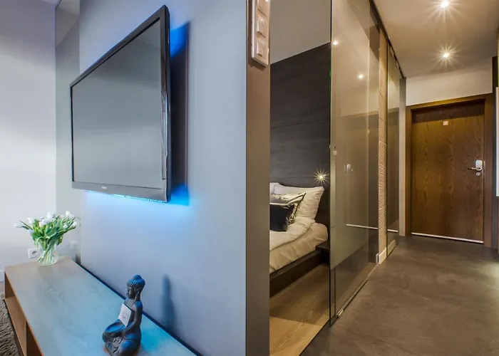 Lupoapartments Z Jacuzzi Pole Dance Leczycka 29 Klimatyzacja Parking Dostep Na Kod