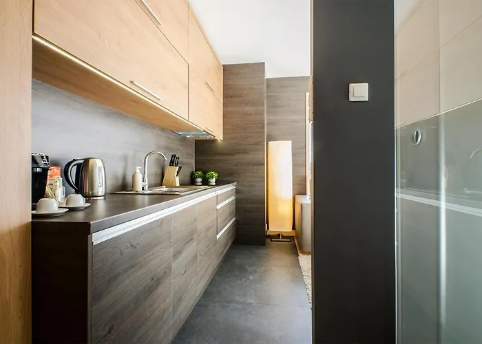 Lejlighed Lupoapartments Z Jacuzzi Pole Dance Leczycka 29 Klimatyzacja Parking Dostep Na Kod