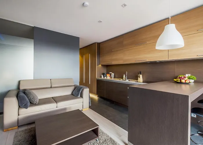 Lupoapartments Z Jacuzzi Pole Dance Leczycka 29 Klimatyzacja Parking Dostep Na Kod Lejlighed