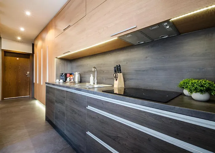 Lupoapartments Z Jacuzzi Pole Dance Leczycka 29 Klimatyzacja Parking Dostep Na Kod Λοτζ