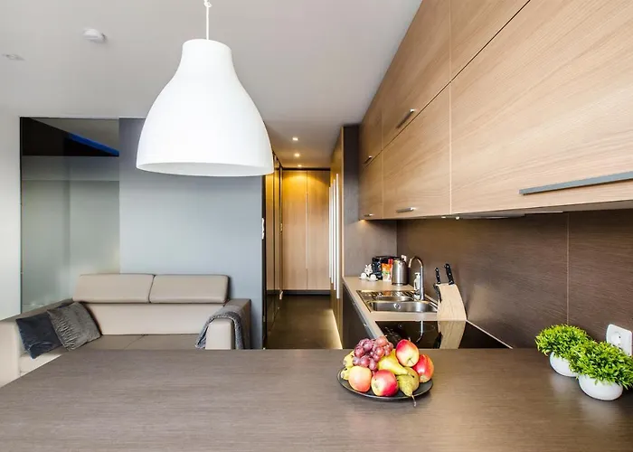 Lejlighed Lupoapartments Z Jacuzzi Pole Dance Leczycka 29 Klimatyzacja Parking Dostep Na Kod Łódź