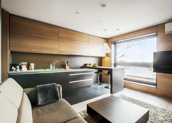 Lupoapartments Z Jacuzzi Pole Dance Leczycka 29 Klimatyzacja Parking Dostep Na Kod Łódź