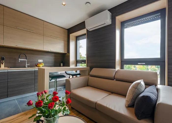 Lejlighed Lupoapartments Z Jacuzzi Pole Dance Leczycka 29 Klimatyzacja Parking Dostep Na Kod