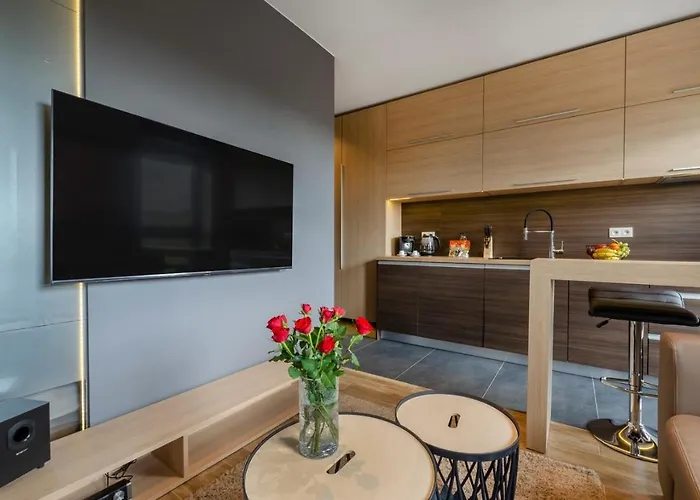 Lejlighed Lupoapartments Z Jacuzzi Pole Dance Leczycka 29 Klimatyzacja Parking Dostep Na Kod *