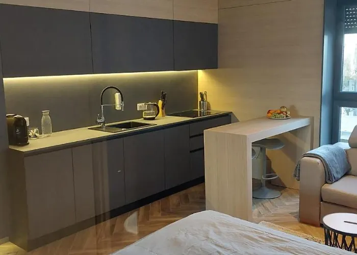 Lejlighed Lupoapartments Z Jacuzzi Pole Dance Leczycka 29 Klimatyzacja Parking Dostep Na Kod