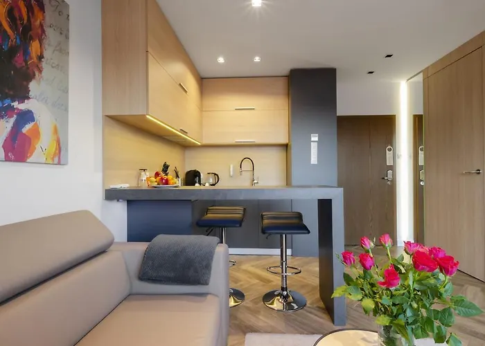 Lejlighed Lupoapartments Z Jacuzzi Pole Dance Leczycka 29 Klimatyzacja Parking Dostep Na Kod *