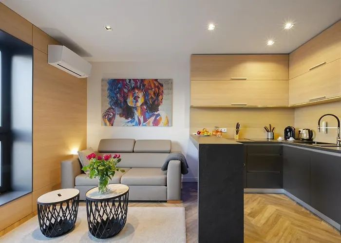 Lupoapartments Z Jacuzzi Pole Dance Leczycka 29 Klimatyzacja Parking Dostep Na Kod *