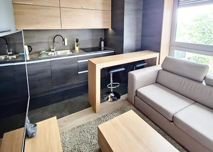 Lupoapartments Z Jacuzzi Pole Dance Leczycka 29 Klimatyzacja Parking Dostep Na Kod Lejlighed Łódź