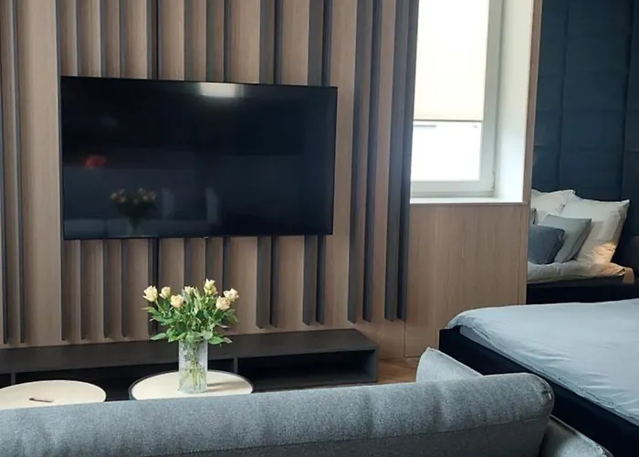 Lupoapartments Z Jacuzzi Pole Dance Leczycka 29 Klimatyzacja Parking Dostep Na Kod Lejlighed *