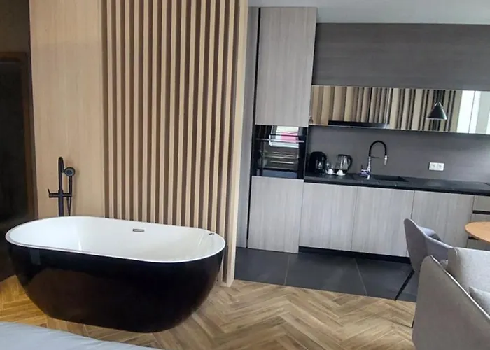 Lupoapartments Z Jacuzzi Pole Dance Leczycka 29 Klimatyzacja Parking Dostep Na Kod Lejlighed Łódź