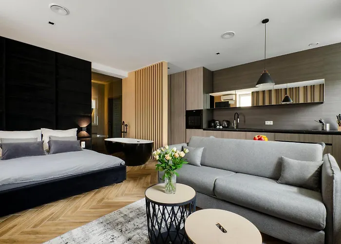 Lupoapartments Z Jacuzzi Pole Dance Leczycka 29 Klimatyzacja Parking Dostep Na Kod Lejlighed *