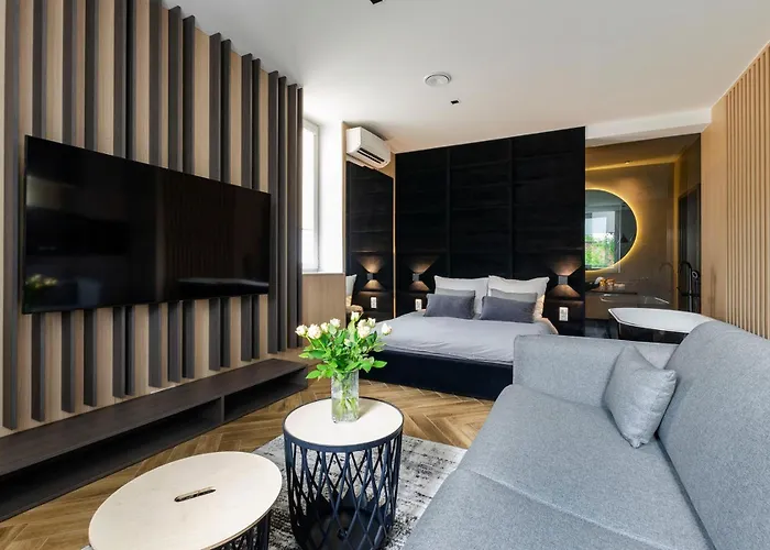 Lupoapartments Z Jacuzzi Pole Dance Leczycka 29 Klimatyzacja Parking Dostep Na Kod *