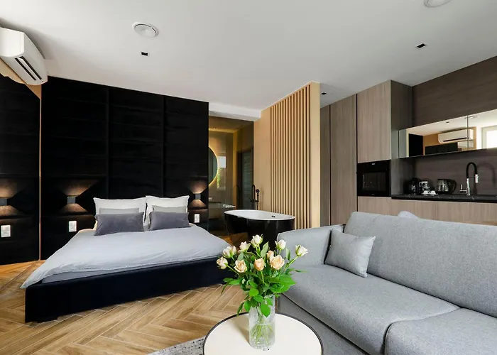 Lupoapartments Z Jacuzzi Pole Dance Leczycka 29 Klimatyzacja Parking Dostep Na Kod Lejlighed