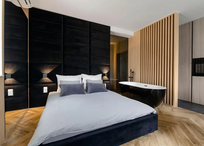 Lupoapartments Z Jacuzzi Pole Dance Leczycka 29 Klimatyzacja Parking Dostep Na Kod Łódź