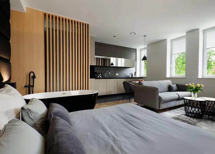 Lupoapartments Z Jacuzzi Pole Dance Leczycka 29 Klimatyzacja Parking Dostep Na Kod Lejlighed