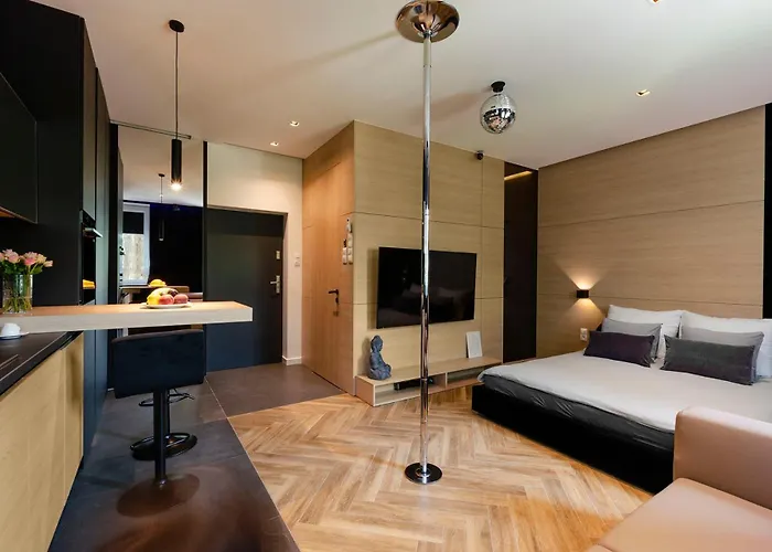 Lupoapartments Z Jacuzzi Pole Dance Leczycka 29 Klimatyzacja Parking Dostep Na Kod Lejlighed *