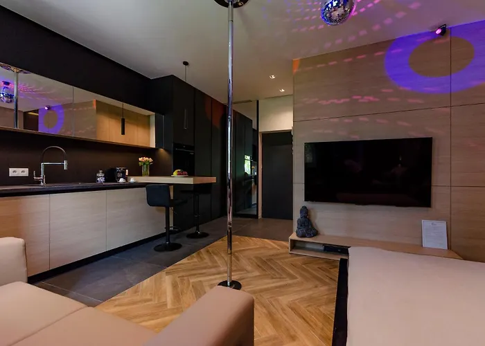 Lupoapartments Z Jacuzzi Pole Dance Leczycka 29 Klimatyzacja Parking Dostep Na Kod