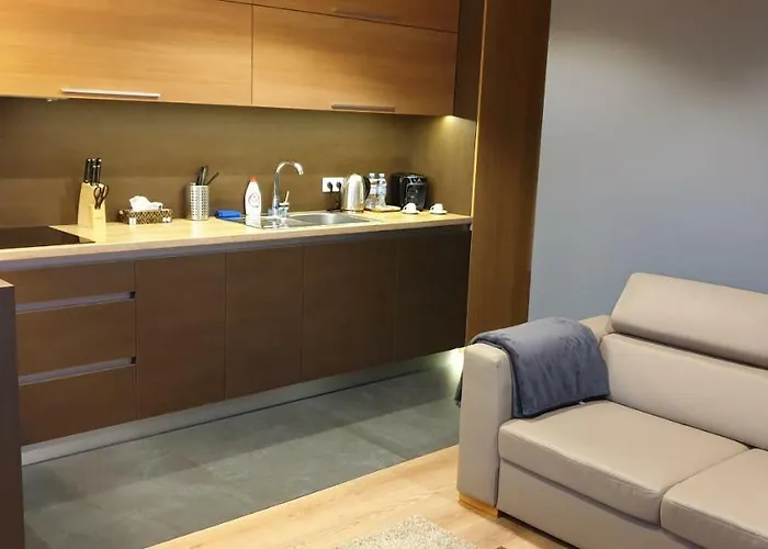 Lejlighed Lupoapartments Z Jacuzzi Pole Dance Leczycka 29 Klimatyzacja Parking Dostep Na Kod *